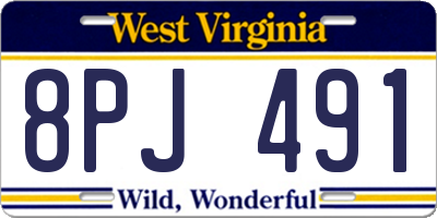 WV license plate 8PJ491