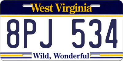 WV license plate 8PJ534