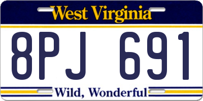 WV license plate 8PJ691