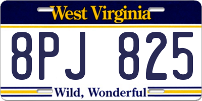 WV license plate 8PJ825