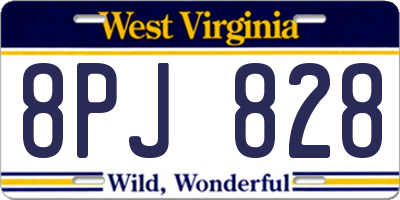 WV license plate 8PJ828