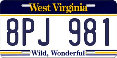 WV license plate 8PJ981
