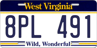 WV license plate 8PL491