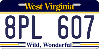 WV license plate 8PL607