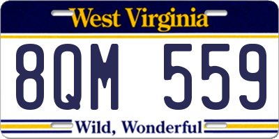 WV license plate 8QM559