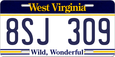WV license plate 8SJ309