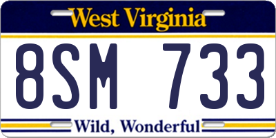 WV license plate 8SM733