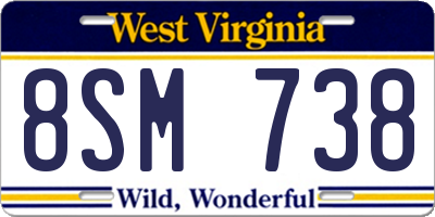 WV license plate 8SM738