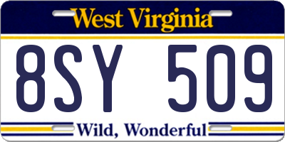 WV license plate 8SY509