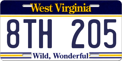 WV license plate 8TH205