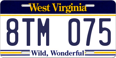 WV license plate 8TM075