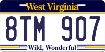 WV license plate 8TM907