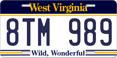 WV license plate 8TM989