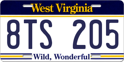 WV license plate 8TS205
