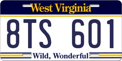 WV license plate 8TS601