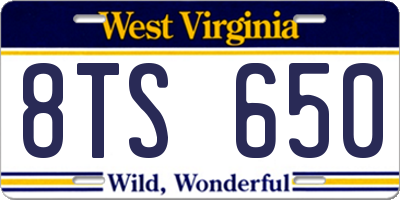 WV license plate 8TS650