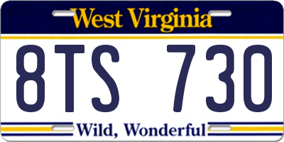 WV license plate 8TS730