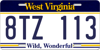WV license plate 8TZ113