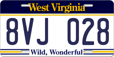 WV license plate 8VJ028