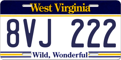 WV license plate 8VJ222