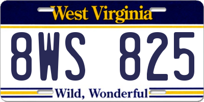 WV license plate 8WS825