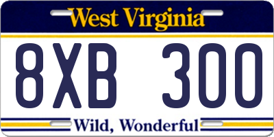 WV license plate 8XB300