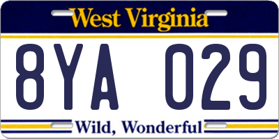 WV license plate 8YA029