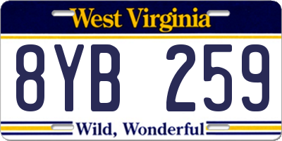 WV license plate 8YB259