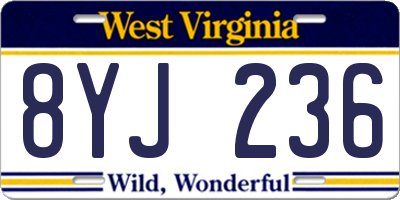 WV license plate 8YJ236