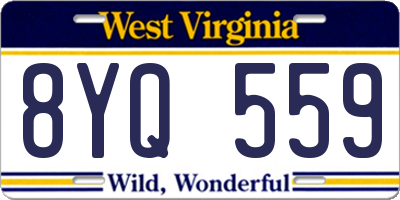 WV license plate 8YQ559