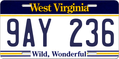 WV license plate 9AY236