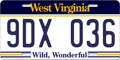 WV license plate 9DX036