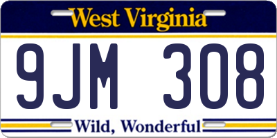 WV license plate 9JM308