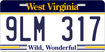 WV license plate 9LM317
