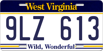 WV license plate 9LZ613