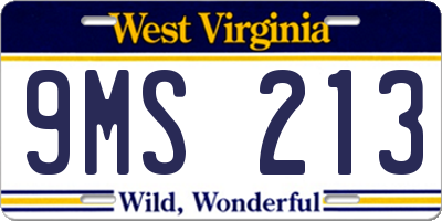 WV license plate 9MS213