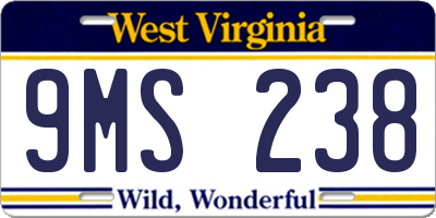 WV license plate 9MS238