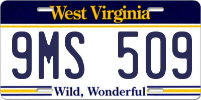 WV license plate 9MS509