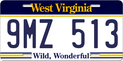 WV license plate 9MZ513