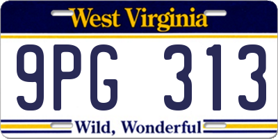 WV license plate 9PG313