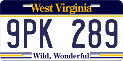 WV license plate 9PK289