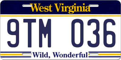 WV license plate 9TM036