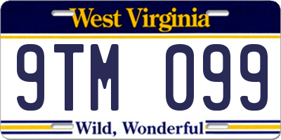 WV license plate 9TM099