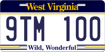 WV license plate 9TM100