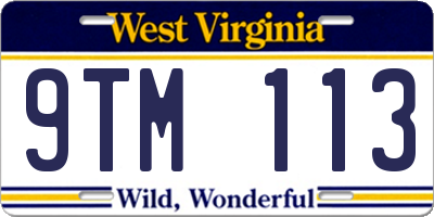 WV license plate 9TM113