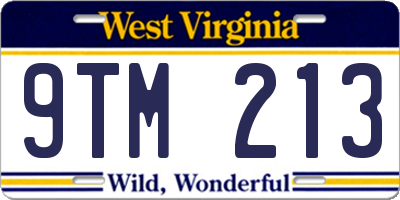 WV license plate 9TM213