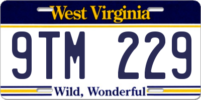WV license plate 9TM229