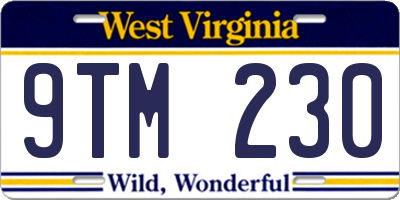 WV license plate 9TM230