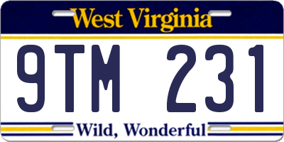 WV license plate 9TM231