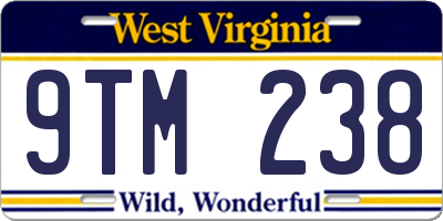 WV license plate 9TM238